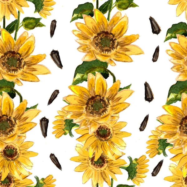 Girasoli gialli in fiore — Foto Stock