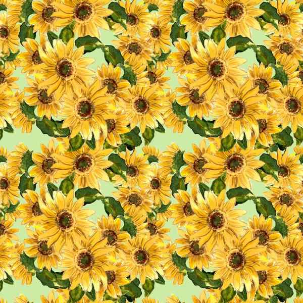 Das Muster der gelben Sonnenblumen — Stockfoto