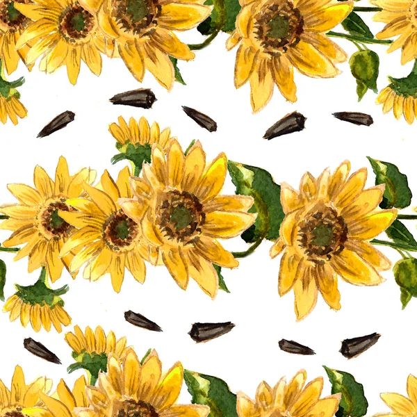 Muster blühender Sonnenblumen — Stockfoto
