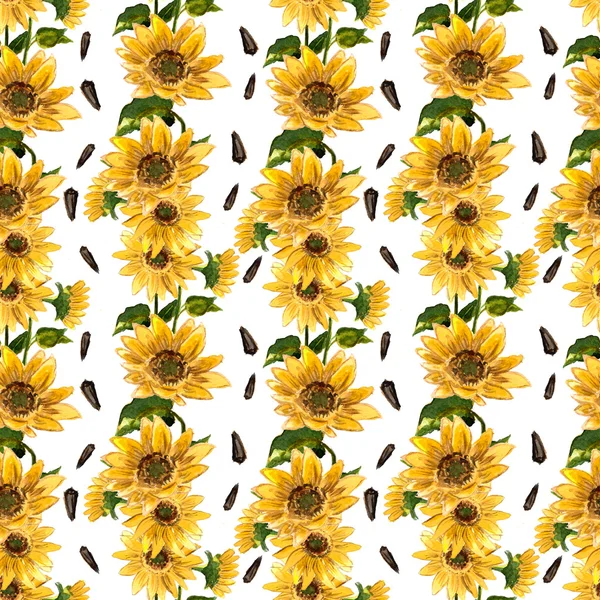 Modello di girasoli in fiore — Foto Stock