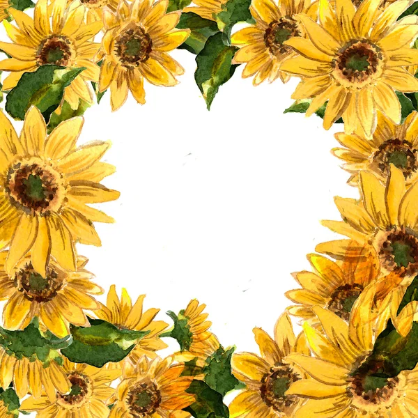 Muster blühender Sonnenblumen — Stockfoto