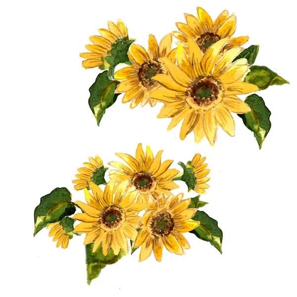 Patroon van bloeiende zonnebloemen — Stockfoto