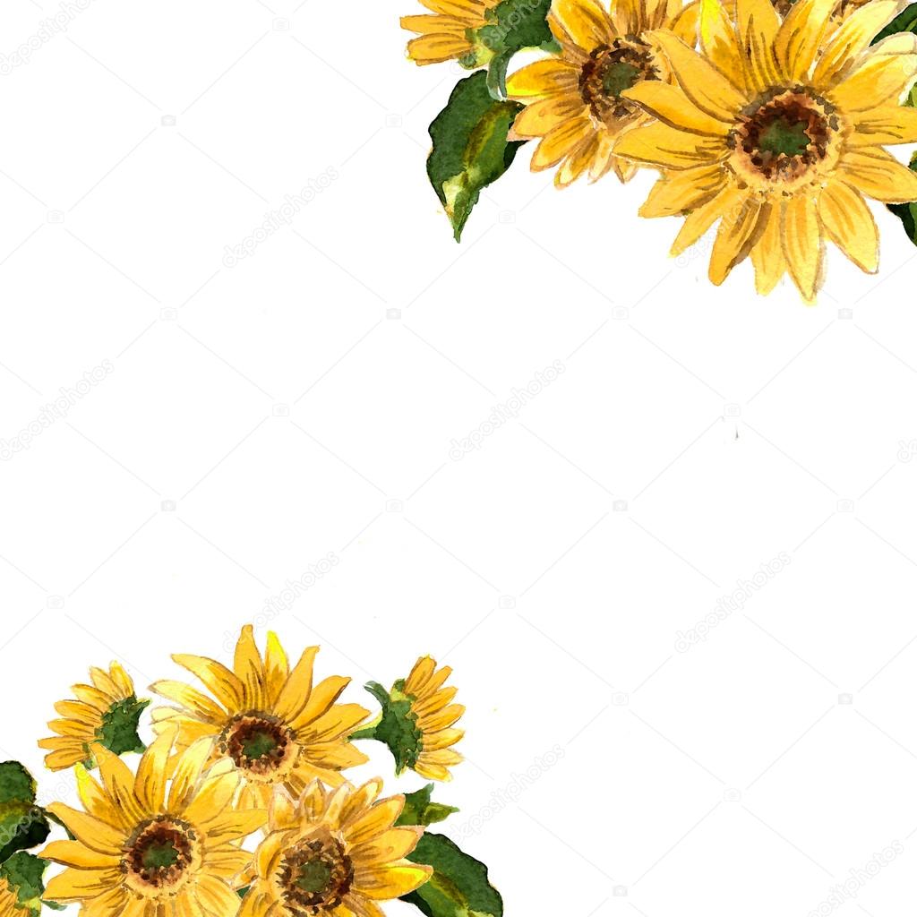 Pattern of blooming sunflowers