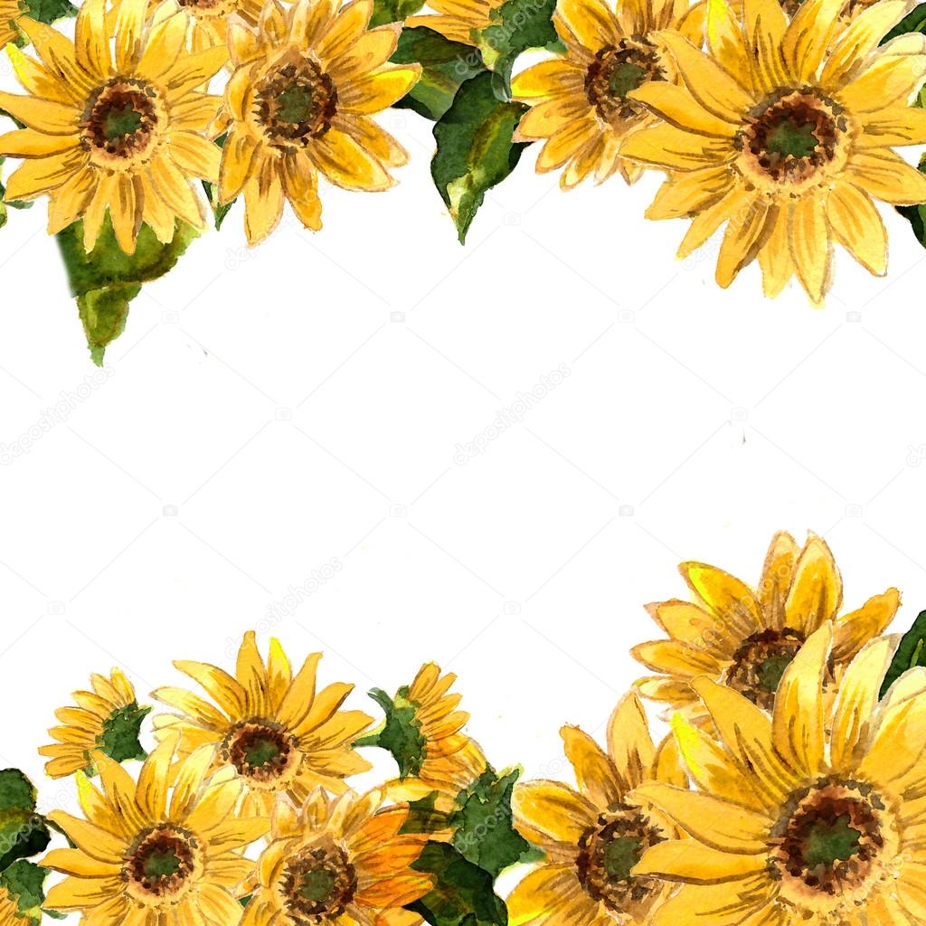 Pattern of blooming sunflowers