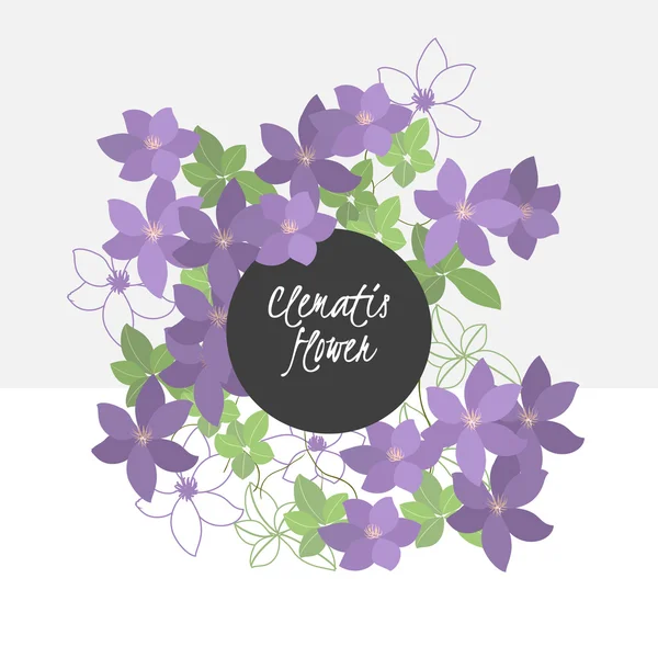 Ilustração com belas flores clematis — Vetor de Stock
