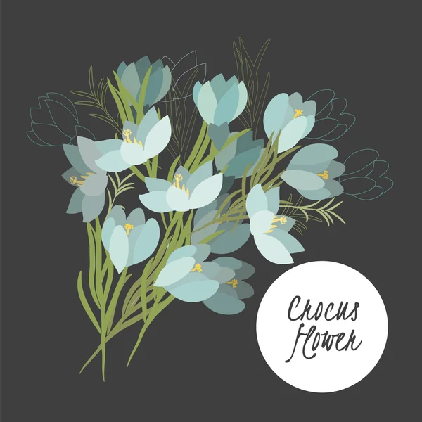 Ilustração com belas flores crocus — Vetor de Stock