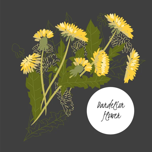 Ilustrasi dengan bunga-bunga indah Dandelion - Stok Vektor