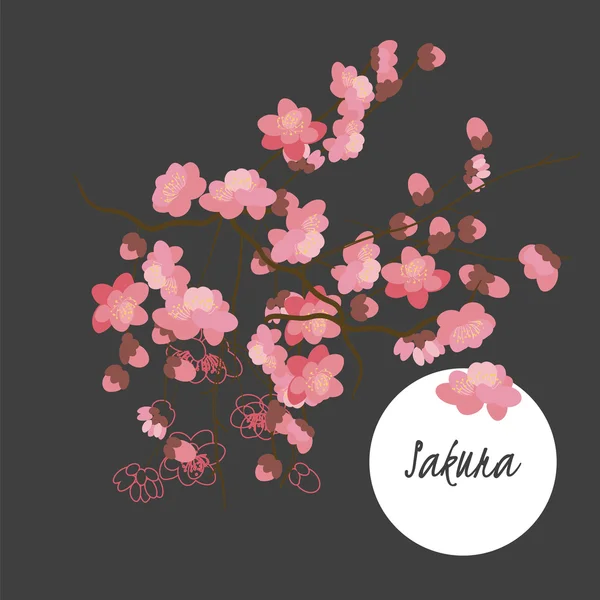 Illustratie met mooie bloemen sakura. — Stockvector