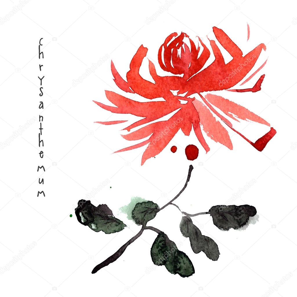 Red chrysanthemum watercolor flower