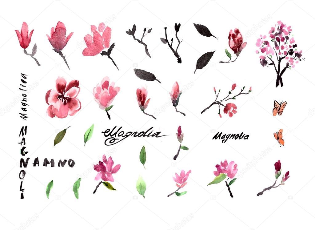 Pattern magnolia flowers painted watercolor