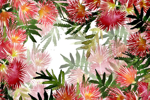 Mimosa lombozat és virágok — Stock Fotó