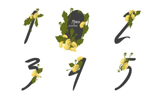 Números da coleção Floral Dandelion — Vetor de Stock