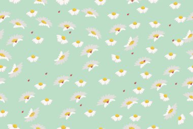 Çiçek papatya arka plan