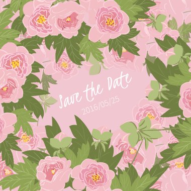 çiçek Şakayık arka plan