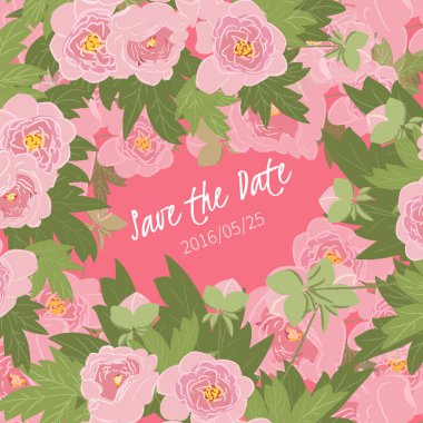 çiçek Şakayık arka plan