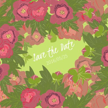 çiçek Şakayık arka plan