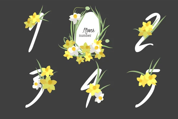 Números de colección de narcisos florales — Vector de stock