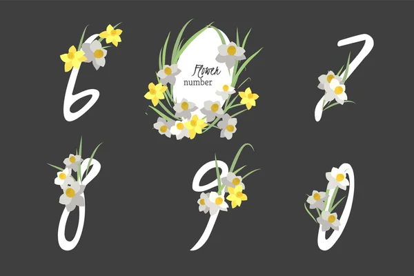 Números florales de narciso — Vector de stock