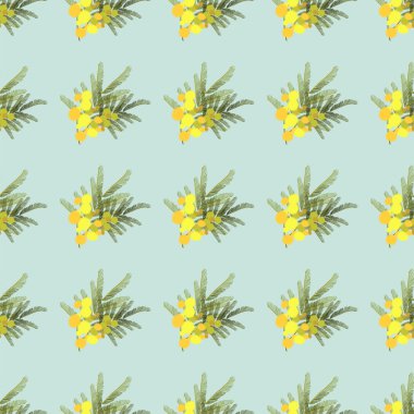 Çiçek Mimoza arka plan