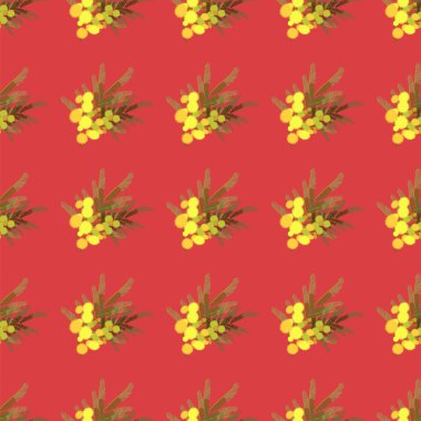 Çiçek Mimoza arka plan