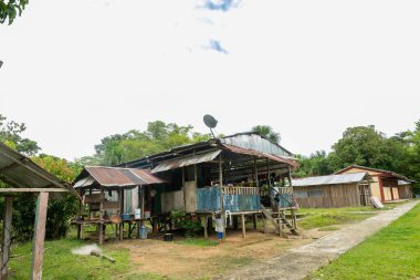 Peru, Peru Amazon manzarası. Fotoğraf, Amazon 'daki tipik Hint kabileleri yerleşimine ait. Peder Cocha.