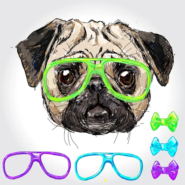 Tapis chiot Hipster avec différentes lunettes — Image vectorielle