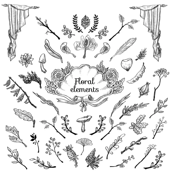 Cadres anciens et baroques et ornements floraux — Image vectorielle