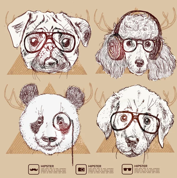 Set of hipster puppy with glasses — Stock Vector