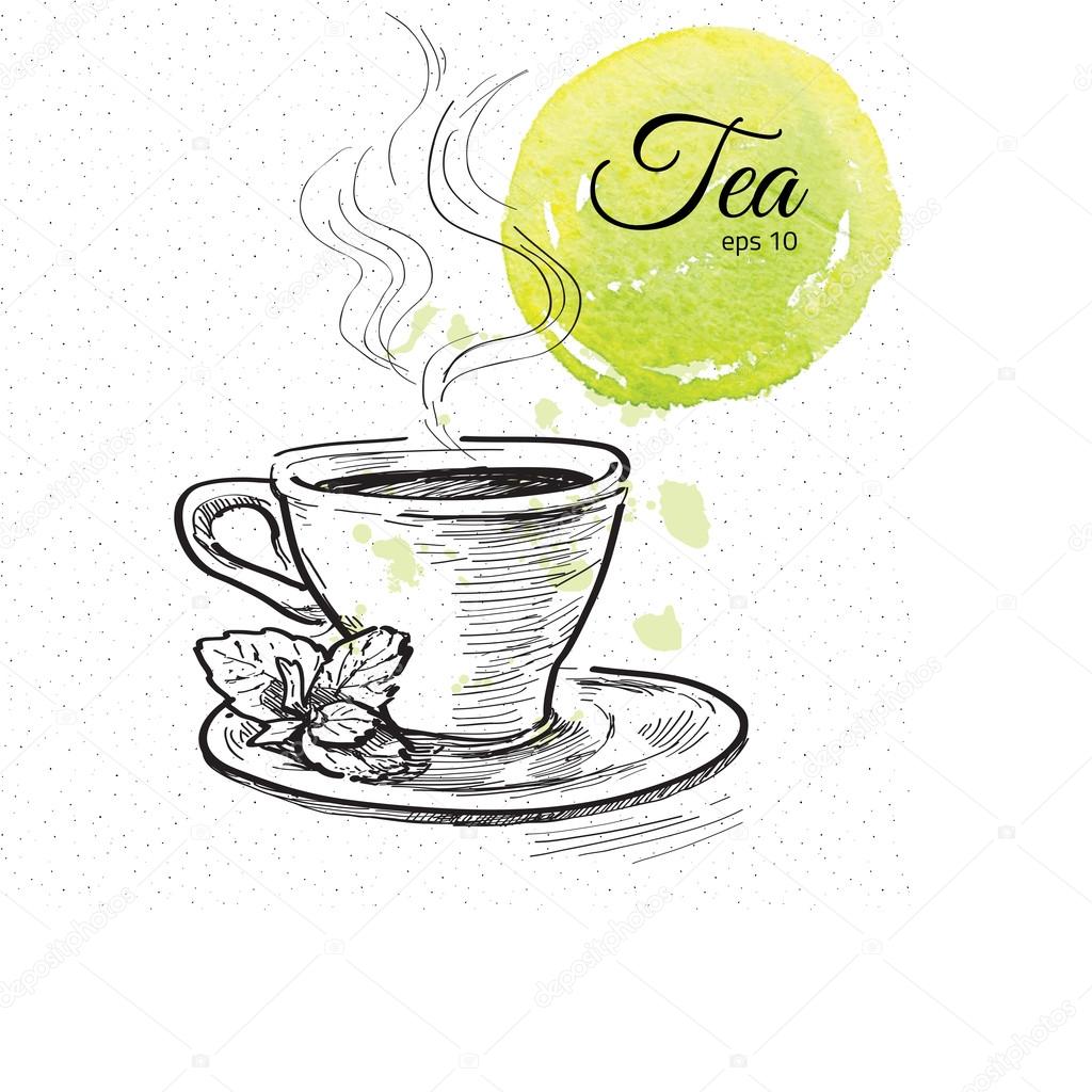 Cup Of Tea Hand Drawn Stock Vector C Iriskana