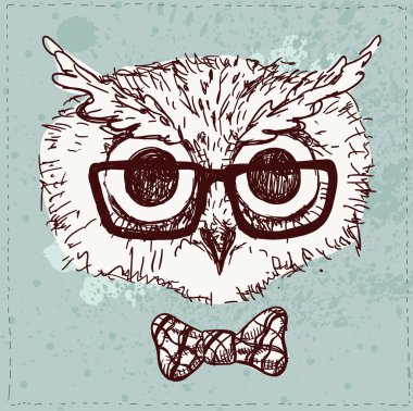 vektör çizim hipster baykuş,