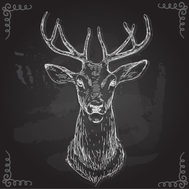 vektör - Geyik - el çizimi, arkaplanda izole