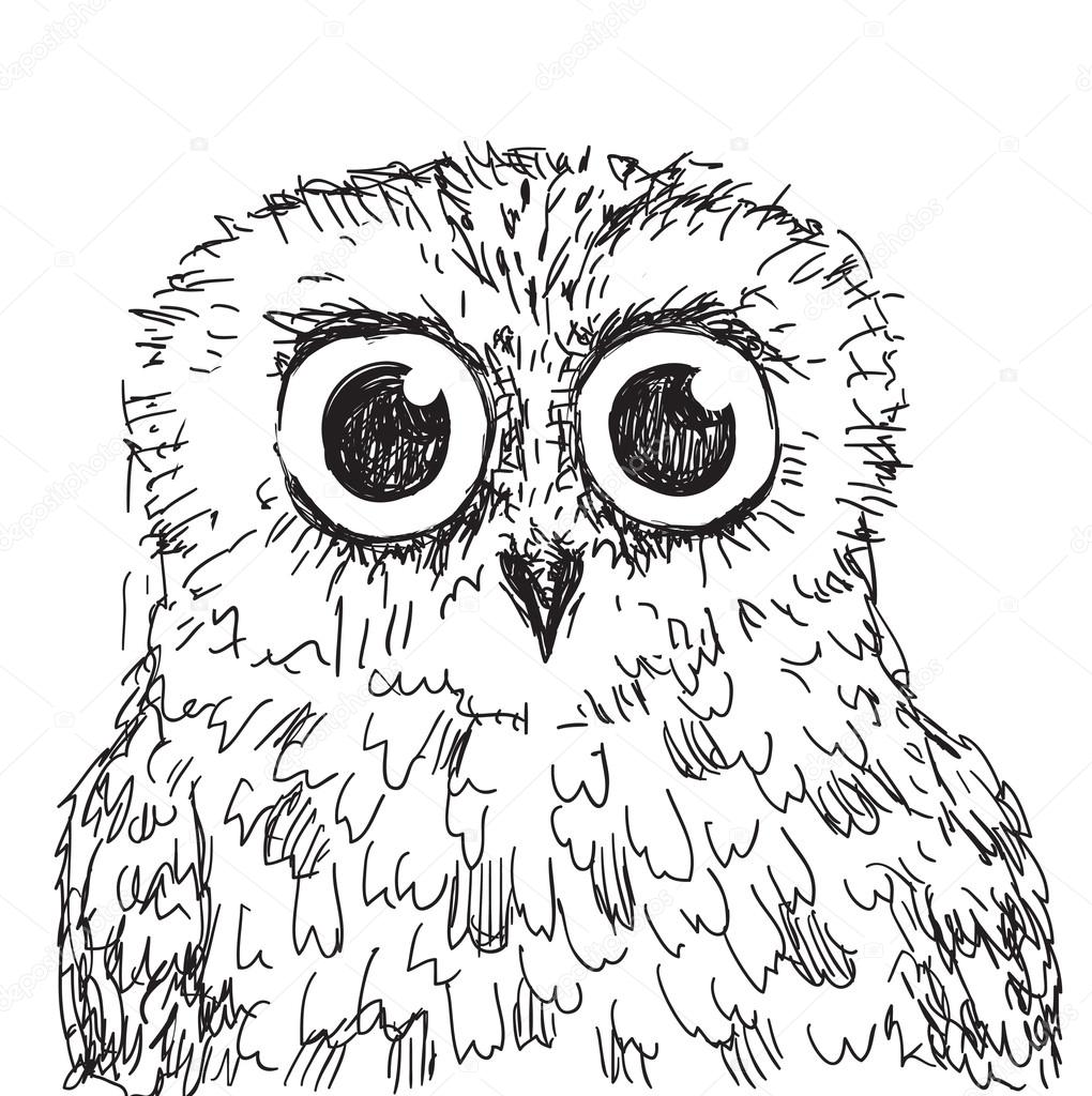 stock vector hand drawn owl illustration