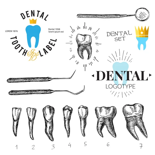 Etiquetas dentárias e ícones definidos. Vetor — Vetor de Stock