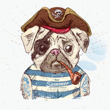 korsan pug köpek çizimi 
