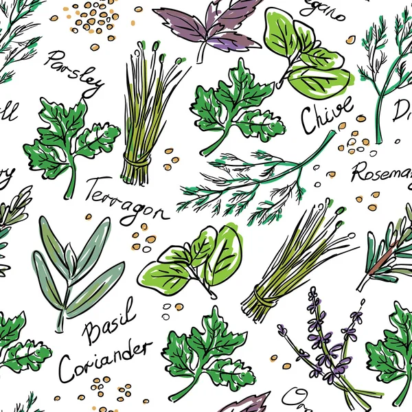 Seamless Pattern Herbs set, vector hand drawn illustration — Stock Vector