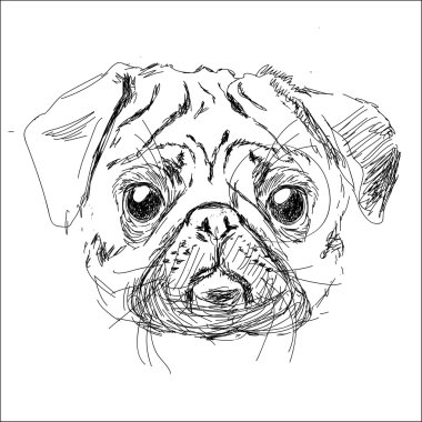 Pug köpek baş vektör çizim 