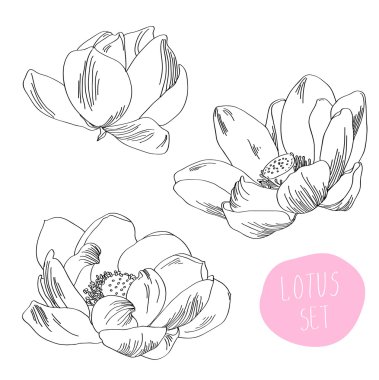 vektör el çekilmiş kuru fırçalama tek dağılımı