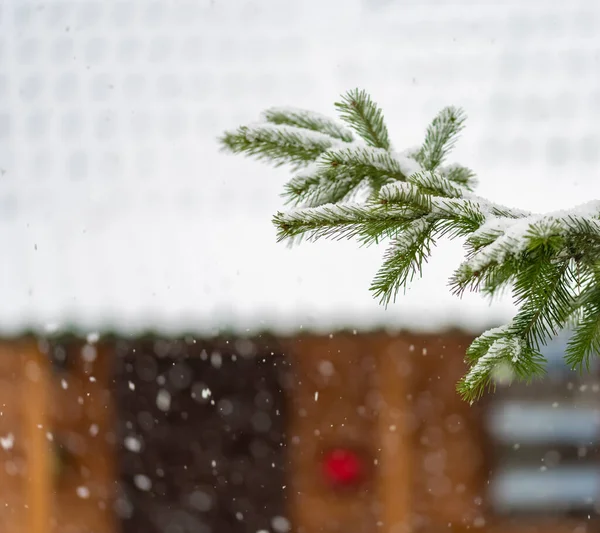 Smrková větev na pozadí domu na Silvestra — Stock fotografie