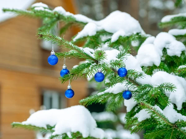 Bolas de Natal em um ramo de abeto no quintal da casa — Fotografia de Stock