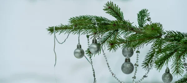 Kerstballen op een sparren tak in de tuin van het huis — Stockfoto