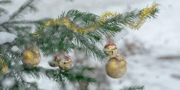 Bolas de Natal de cor dourada em um ramo de abeto em queda de neve — Fotografia de Stock