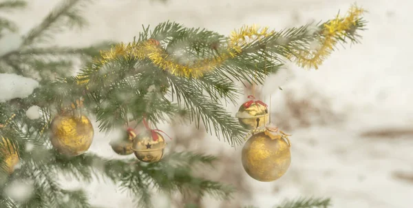 Kerstballen van goud kleur op een sparren tak in sneeuw — Stockfoto
