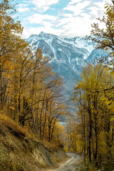 Vista da paisagem através da floresta de outono para as altas montanhas na neve. Transição do outono para o inverno. — Fotografia de Stock