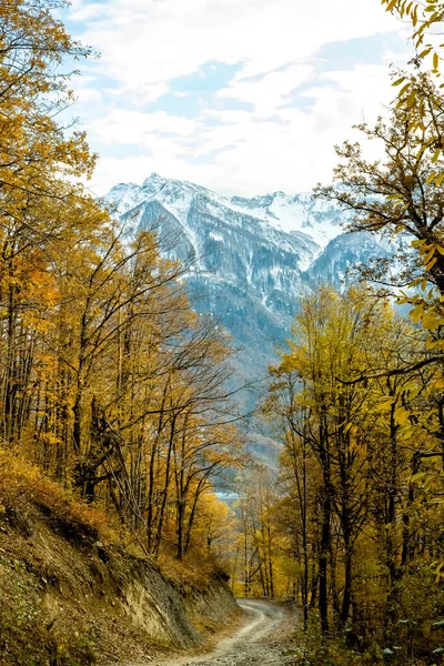 Uitzicht op landschap door herfstbos naar de hoge bergen in de sneeuw. Overgang van herfst naar winter. — Stockfoto