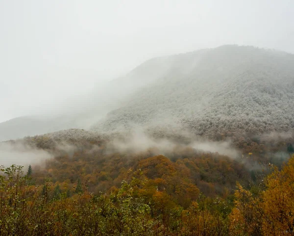 Berglandschaft mit bewölktem Himmel und Nebel an einem bewölkten Tag. Regentag im Herbst — Stockfoto