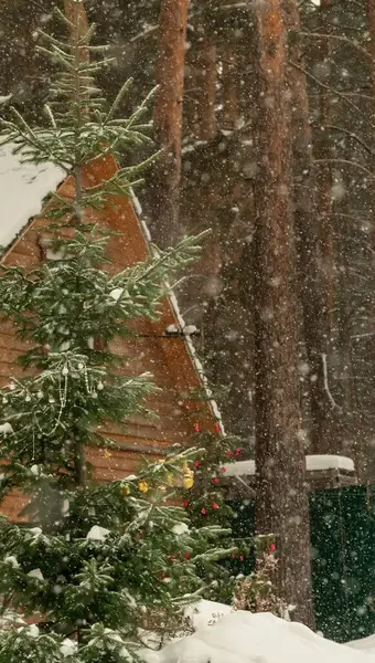 Evin Bahçesinde Kar Yağışı Ağaçlarda Kar Taneleri — Stok fotoğraf