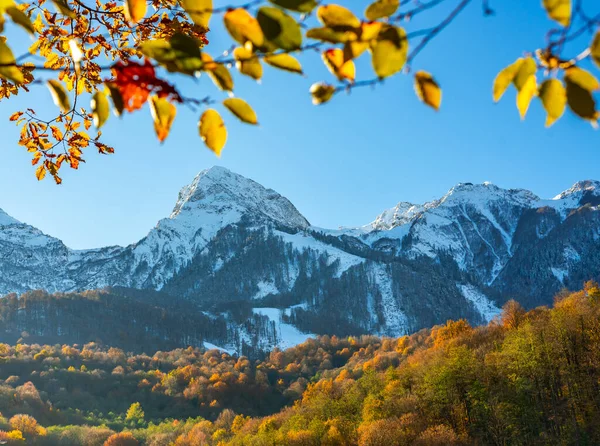 Puncak Gunung Ditutupi Dengan Salju Hutan Musim Gugur Lereng — Stok Foto