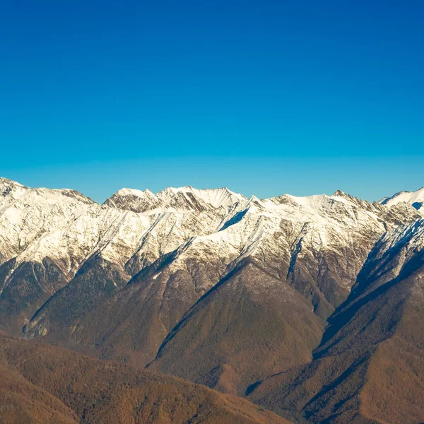 山顶上覆盖着雪 山坡上的秋天森林 — 图库照片