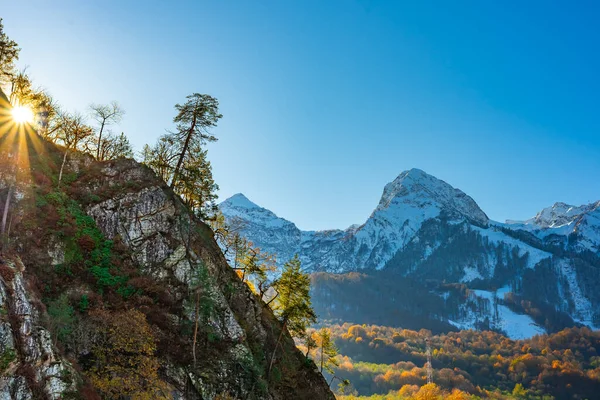 Mountain peaks covered with snow. Autumn forest on the slopes