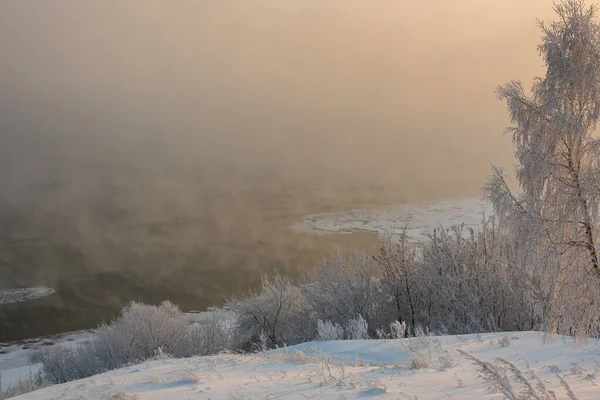 Branches d'arbres couvertes de givre sur la rive de la rivière dans un gel sévère — Photo